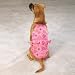 Casual Canine - Fruit Bowl Bathing Suits - Small