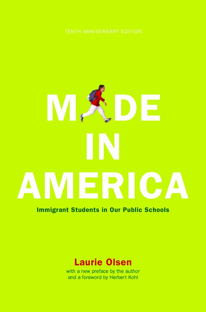 Amazon.com: Schooling America: How the Public Schools Meet the ...