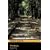 Penguin Readers Level 5 The Body (Penguin Longman Penguin Readers)