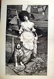 Illustrated London News dog