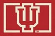 Indiana Hoosiers "IU" 3' 10"x 5' 4" Team Spirit Area Rug