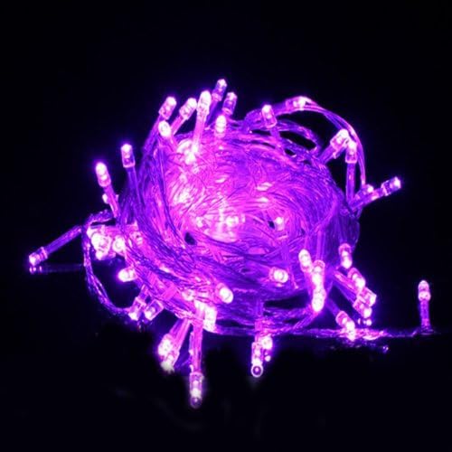 Adsled LED Lights String Rope Lights 10m 100LED Male Female Plug Synchronous Flashing