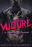 VULTURE (a Stepbrother Romance) (Forbidden Desires Book 2)