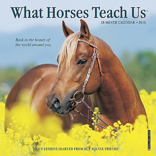 What Horses Teach Us 2016 Mini Calendar