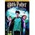 Harry Potter und der Gefangene von Askaban (2 DVDs)