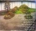 CLOSEOUT: Shakuhachi Honkyoku Music CD: Brian Franklin Breathe in Peace