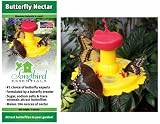 Songbird Essentials Butterfly Feeder and Nectar Combo