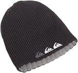 Quiksilver Young Men's Wright Wood Beanie