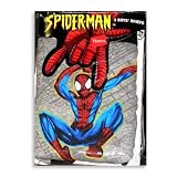 Spiderman by Hanes - Toddler Boys 3 Pack Spiderman Briefs, Grey, Multi
