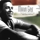 Sexual Healing: The Love Collection by  Marvin Gaye 