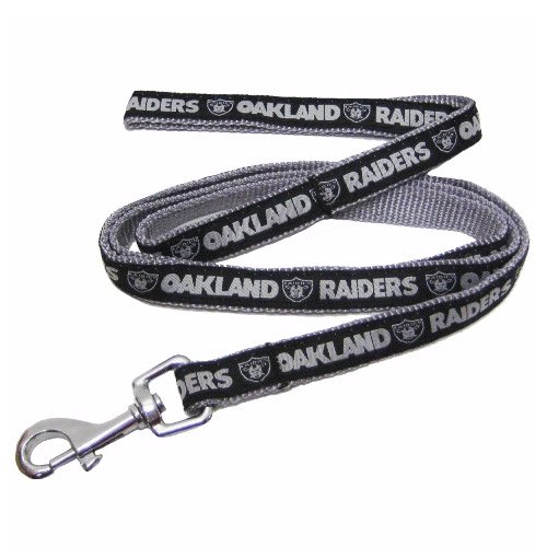 Oakland Raiders Black Woven Team Pet Leash (Small)