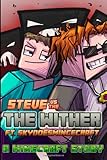 Steve vs. The Wither Ft. Skydoesminecraft