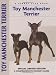 Toy Manchester Terrier: A Comprehensive Owner's Guide