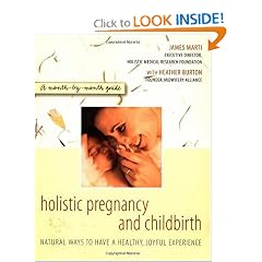 Holistic Pregnancy and Childbirth (Paperback)