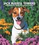 Jack Russell Terriers 2008 Hardcover Weekly Engagement Calendar (German, French, Spanish and English Edition)
