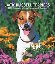 Jack Russell Terriers 2008 Hardcover Weekly Engagement Calendar (German, French, Spanish and English Edition)
