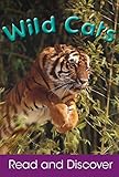 Wild cats