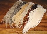 Pro Grade Dry Fly Saddles ::: Feather ::: Fly Tying Material