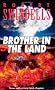 Brother in the Land (Puffin Teenage Fiction)