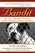 Bandit