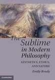 The sublime in modern philosophy : aesthetics, ethics, and nature
