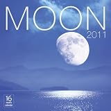 2011 Moon - Mini Calendar