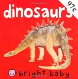 Bright Baby Chunky: Dinosaurs