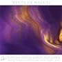 Toccata And Fugue In D Minor, BWV 565