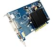 PNY GeForce 6200 Grafikkarte (AGP, 512MB GDDR2 Speicher, 64 bits, VGA, DVI, 1 GPU)