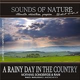 Relaxing Sounds of Nature A Rainy Day In The Country