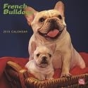 French Bulldogs 2010 Square Wall (Multilingual Edition)