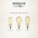 Candelabra Edison A15 Vintage Bulbs by Brooklyn Bulb Co. | Mini Coney Island Collection, Dimmable, 40W (E12 Socket), Warm White, Spiral Filament Style | Pack of 4