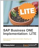 SAP Business ONE Implementation: LITE Edition