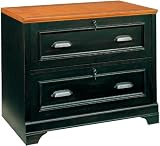 2 Drawer Lateral File Cabinet by Aspen Home