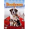 Beethoven A Caccia Di Oss...Car!