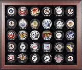 Framed 30 Hockey Puck Display Case