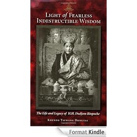 Light of Fearless Indestructible Wisdom: The Life and Legacy of H. H. Dudjom Rinpoche