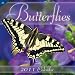 Search : 2011 Butterflies Calendar