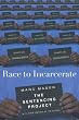 Race to Incarcerate