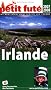 Le Petit Fut� Irlande