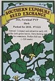 Dill Fernleaf Seeds 500 Seeds