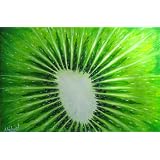 Kiwi Explosion Original Signed Acrylic Painting