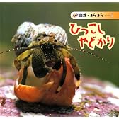 ひっこしやどかり (自然・きらきら (5))