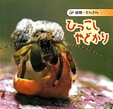 ひっこしやどかり