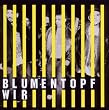 Wir