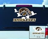 Iowa Hawkeyes 12 Waterfowler Camo Decal