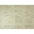 Rossi Italian Calligraphy Samples Paper Decoupage Gift Wrap 20 by 28 inches