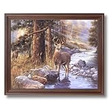 Buck Deer Doe Lake Animal Wildlife Cabin Lodge Picture Framed Art Print by 
