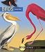 Birds (Dover Pictura Electronic Clip Art)