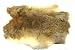 Natural Top Grade Rabbit Fur Pelt Skin Taxidermy